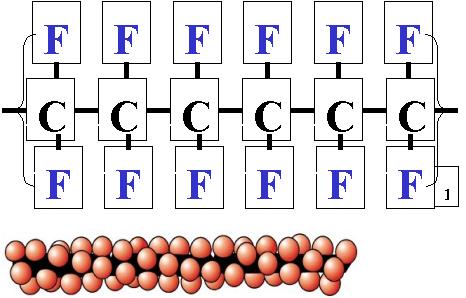 PTFE 的分子結構圖.jpg